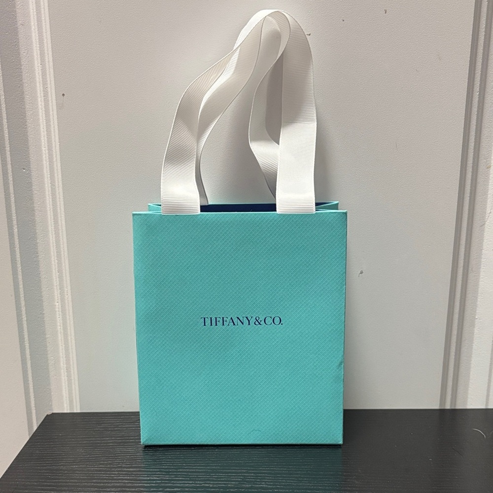 Authentic Tiffany & Co Gift Bag